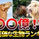 Thumbnail of post image 044